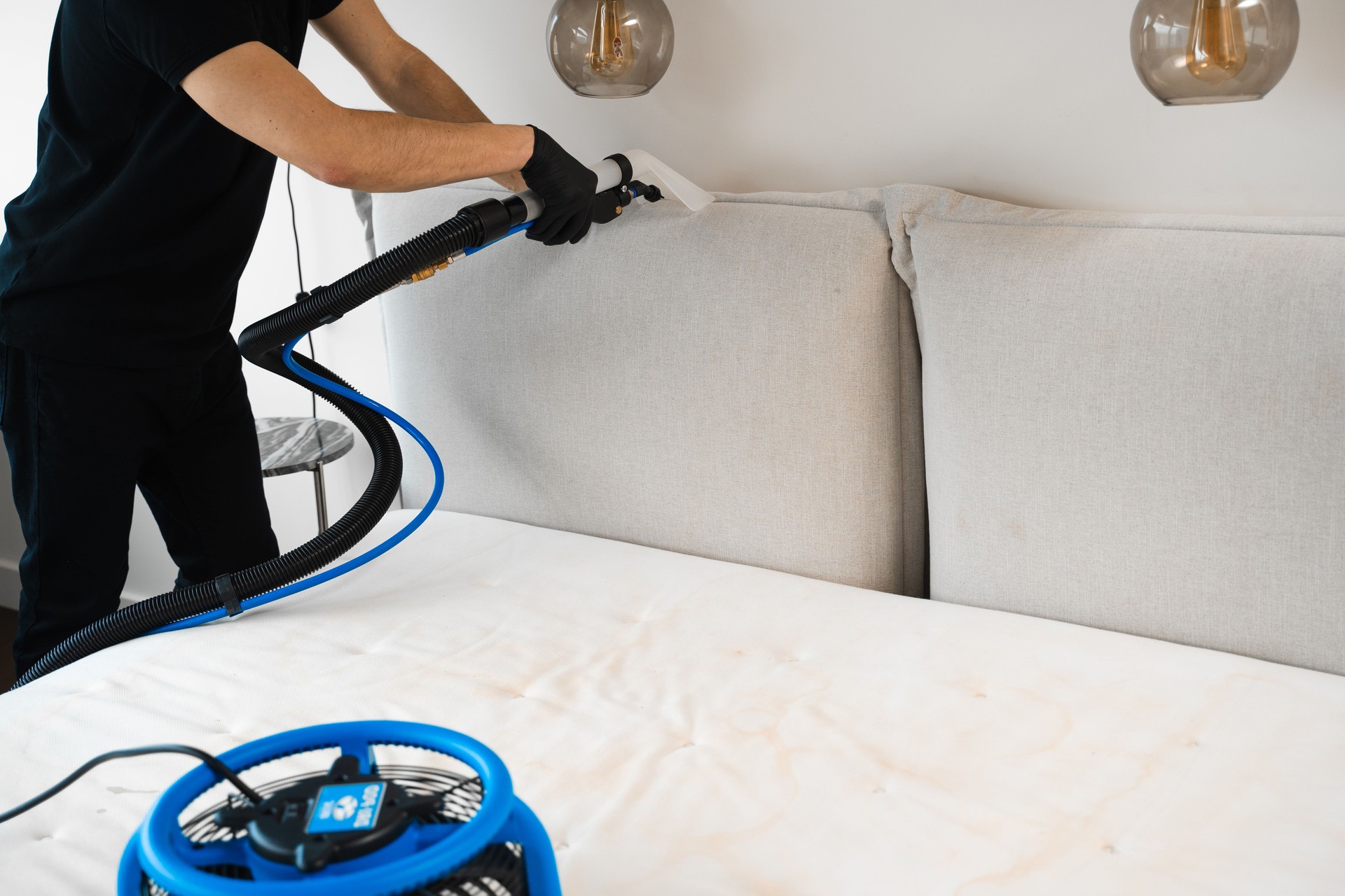 Dry cleaning of home furniture with extractor. Cleaner is washing off sofa cushions with extractor and drying soft upholstered headboard of the bed. Using dryer to remove wet spots on bed.